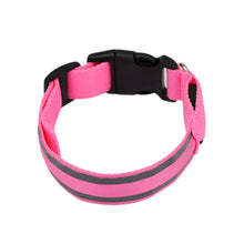 LED Dog Collar